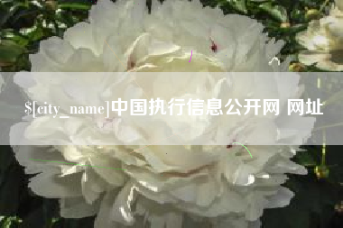 三门峡中国执行信息公开网 网址