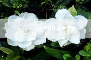 三门峡中国的几块金牌2021
