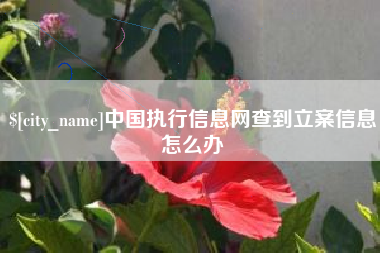 三门峡中国执行信息网查到立案信息怎么办