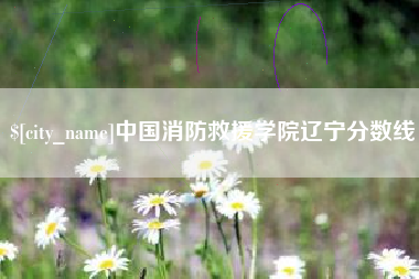 三门峡中国消防救援学院辽宁分数线