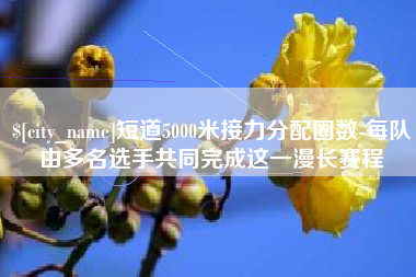 三门峡短道5000米接力分配圈数-每队由多名选手共同完成这一漫长赛程