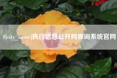 三门峡执行信息公开网查询系统官网
