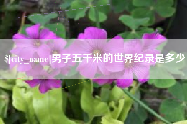 三门峡男子五千米的世界纪录是多少