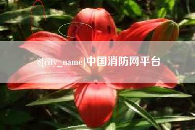 三门峡中国消防网平台