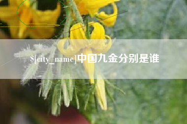 三门峡中国九金分别是谁