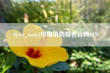 三门峡中国消防报名官网2020