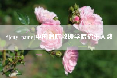 三门峡中国消防救援学院招生人数