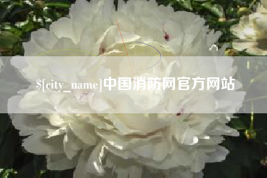三门峡中国消防网官方网站