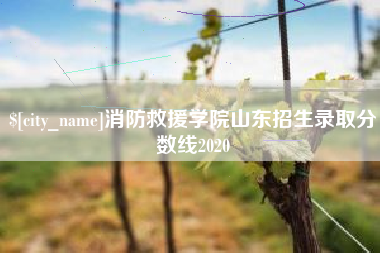 三门峡消防救援学院山东招生录取分数线2020