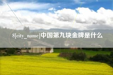 三门峡中国第九块金牌是什么
