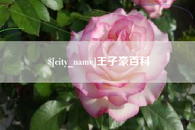 三门峡王子豪百科