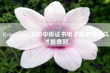 三门峡消防中级证书电子版查询多久才能查到