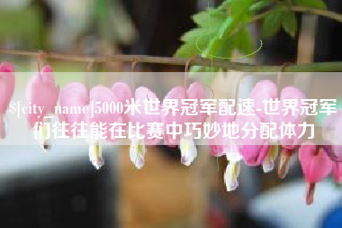 三门峡5000米世界冠军配速-世界冠军们往往能在比赛中巧妙地分配体力