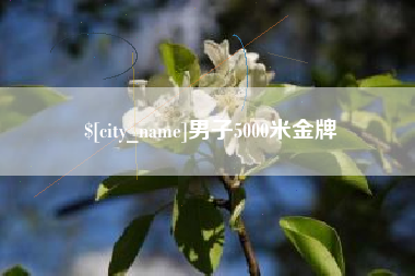 三门峡男子5000米金牌