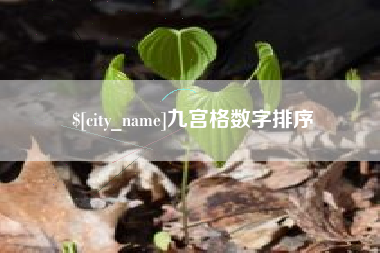 三门峡九宫格数字排序