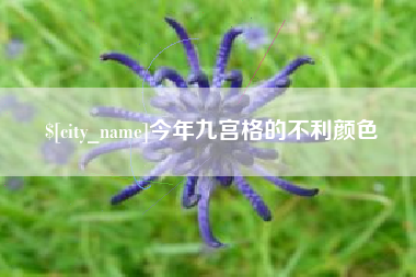 三门峡今年九宫格的不利颜色