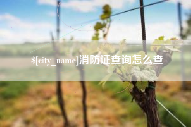三门峡消防证查询怎么查
