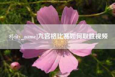 三门峡九宫格比赛如何取胜视频