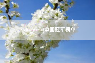 三门峡中国冠军榜单