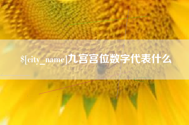 三门峡九宫宫位数字代表什么