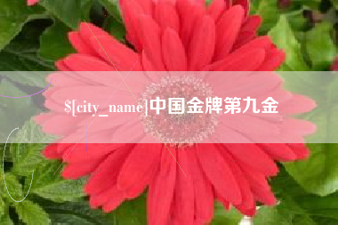 三门峡中国金牌第九金
