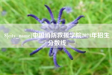 三门峡中国消防救援学院2024年招生分数线