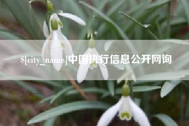 三门峡中国执行信息公开网询