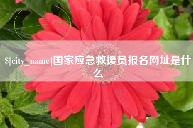 三门峡国家应急救援员报名网址是什么