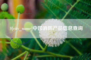 三门峡中国消防产品信息查询