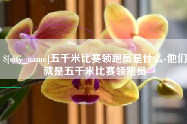 三门峡五千米比赛领跑员是什么-他们就是五千米比赛领跑员