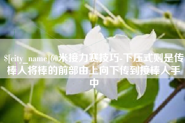 三门峡60米接力赛技巧-下压式则是传棒人将棒的前部由上向下传到接棒人手中