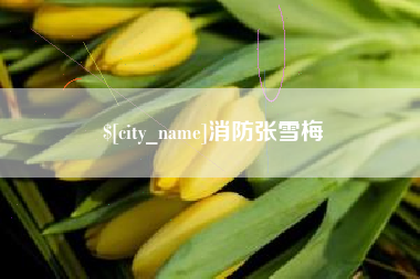 三门峡消防张雪梅