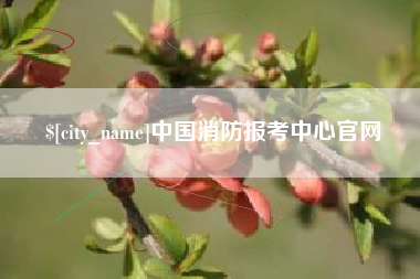 三门峡中国消防报考中心官网