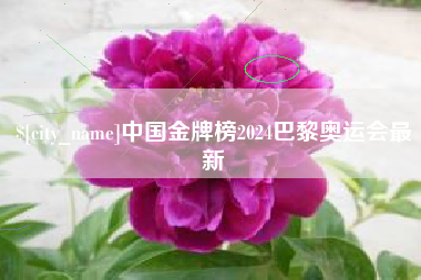三门峡中国金牌榜2024巴黎奥运会最新