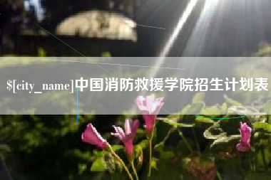 三门峡中国消防救援学院招生计划表