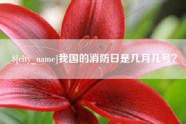 三门峡我国的消防日是几月几号？