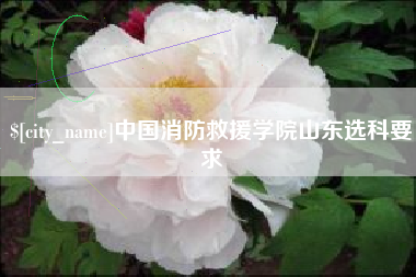 三门峡中国消防救援学院山东选科要求