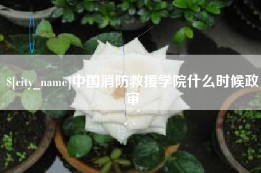 三门峡中国消防救援学院什么时候政审