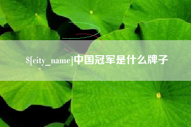 三门峡中国冠军是什么牌子