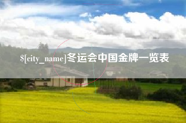 三门峡冬运会中国金牌一览表