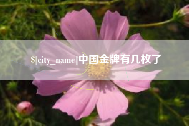 三门峡中国金牌有几枚了
