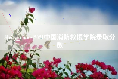 三门峡2021中国消防救援学院录取分数