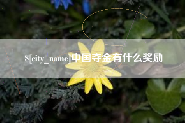 三门峡中国夺金有什么奖励