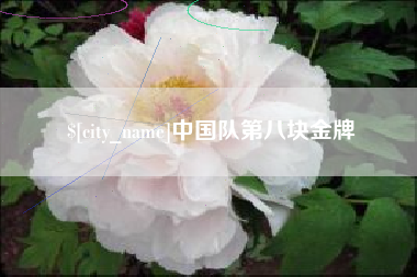 三门峡中国队第八块金牌