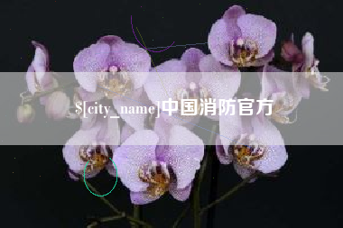 三门峡中国消防官方