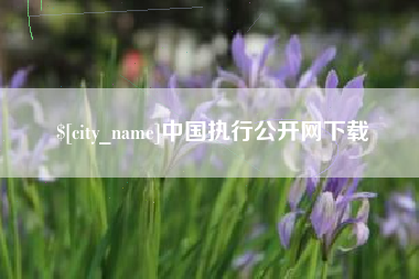三门峡中国执行公开网下载