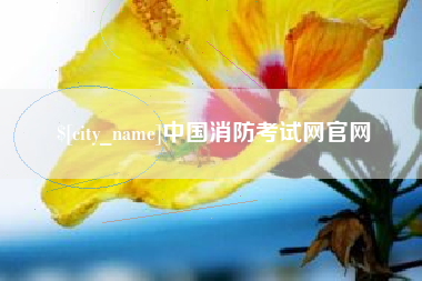 三门峡中国消防考试网官网