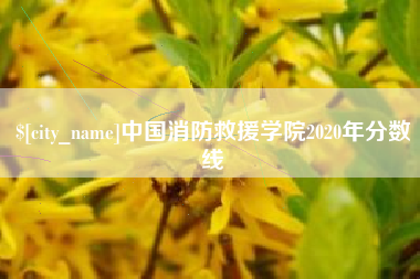 三门峡中国消防救援学院2020年分数线