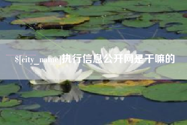 三门峡执行信息公开网是干嘛的
