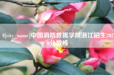 三门峡中国消防救援学院浙江招生2020分数线